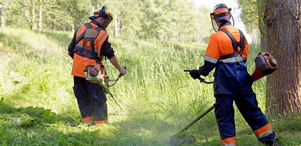 New Study Shows Prevalence of Hearing Loss in Services Sector