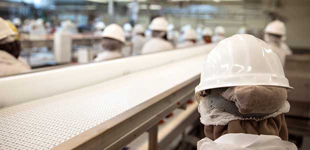 Alliance Established to Protect Meatpacking Workers from Coronavirus