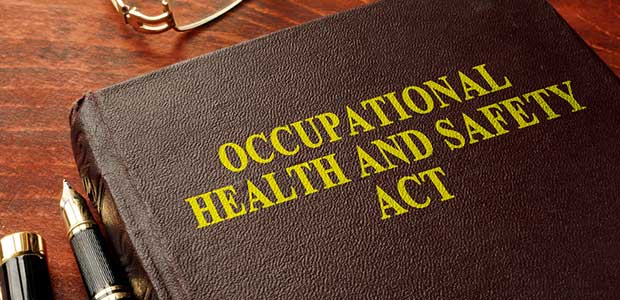 Safety Management Challenges: History and Program Issues