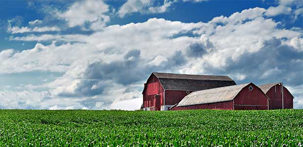 Canadian Government Gives Millions in Aid to Agricultural Workers