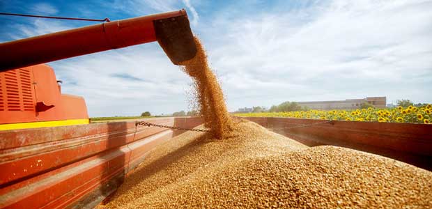 Worker Engulfment in Soybean Silo Leads to Citations of Central Illinois Grain Cooperative