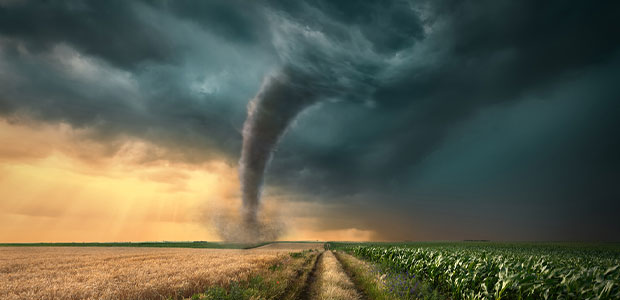 OSHA Investigates Amazon Warehouse Collapse after Deadly Illinois Tornado