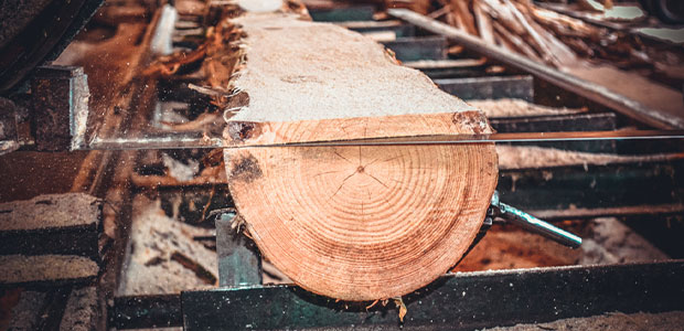 Investigation of Worker’s Fatal Fall finds Henderson Sawmill, Pallet Manufacturer Exposed Workers to Willful, Serious Hazards