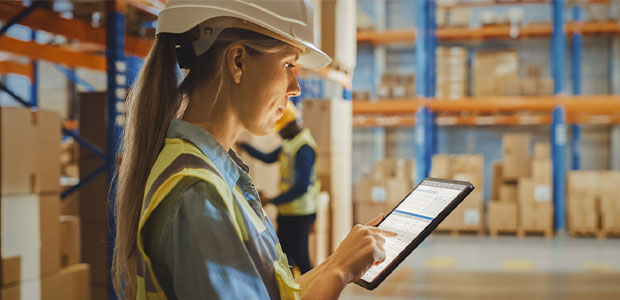 Coaxing and Coaching: Software Training Best Practices for Employees 