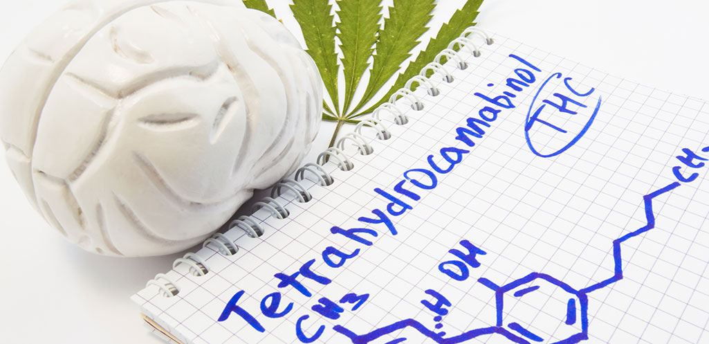 The Truth About Marijuana Impairment & Recent-Use Drug Testing