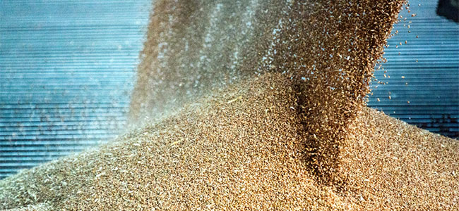 Georgia Grain Silo Cited for Safety Violations that Led to Worker’s Death