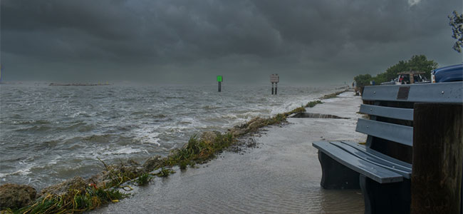 OSHA Focuses on Worker Safety in Hurricane Idalia Aftermath