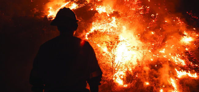 Clearing the Air on Wildfire Smoke Exposure