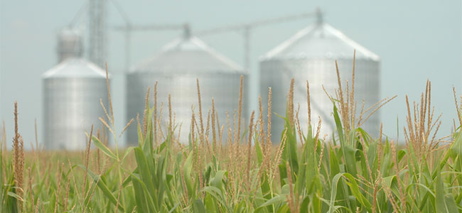 Didion Milling Inc. to Pay $1.8 Million in OSHA Settlement Following Fatal Explosion