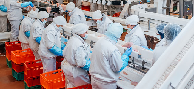 OSHA Fines Nebraska Beef Ltd. $274,569 After Amputation Incident