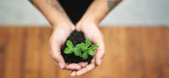 Exploring the Impact of Climate Change on Worker Health and Safety