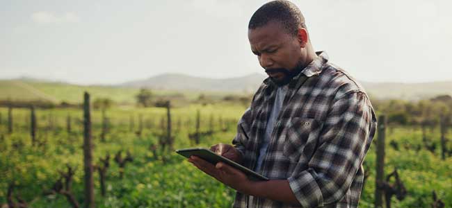 Using Technology to Enhance Safety for Farm and Food Processing Workers