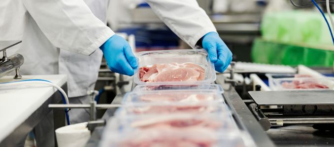 Worker packing meat on conveyor belt