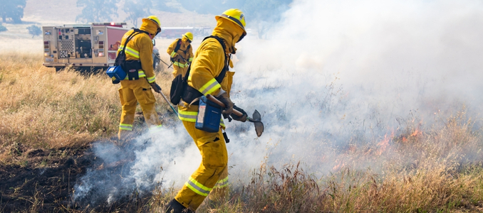 Three wildland firefighters in yellow protective gear and helmets use hand tools to contain a grass fire on dry terrain near a fire truck.
