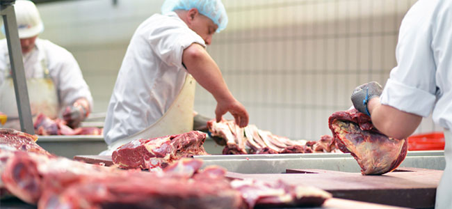 OSHA Fines Ohio Meat Processor for Safety Failures Following Employee Injury