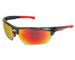 Safety Dominator safety glasses