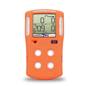 Portable Gas Detector