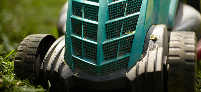 Fatal Accident Leads to OSHA Action Against Florida Landscaping Company