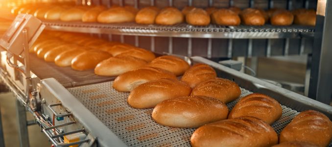 Fresh bread on a bakery conveyor belt
