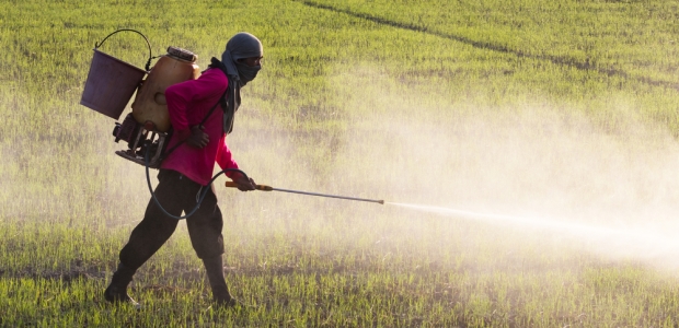 the-hidden-dangers-of-chemical-fertilizers-occupational-health-safety